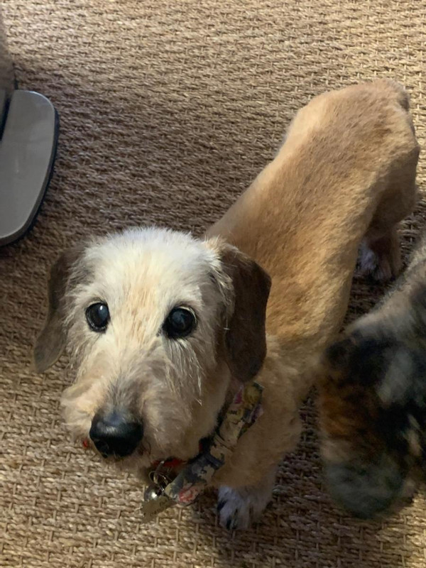 [Image: IMG-2160.jpg]