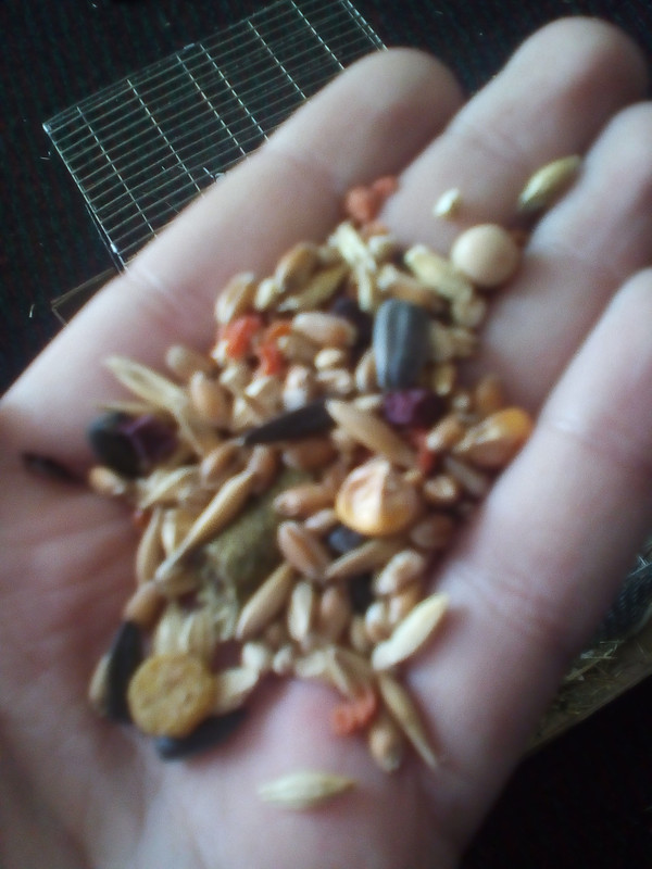 1488962469806-291703940