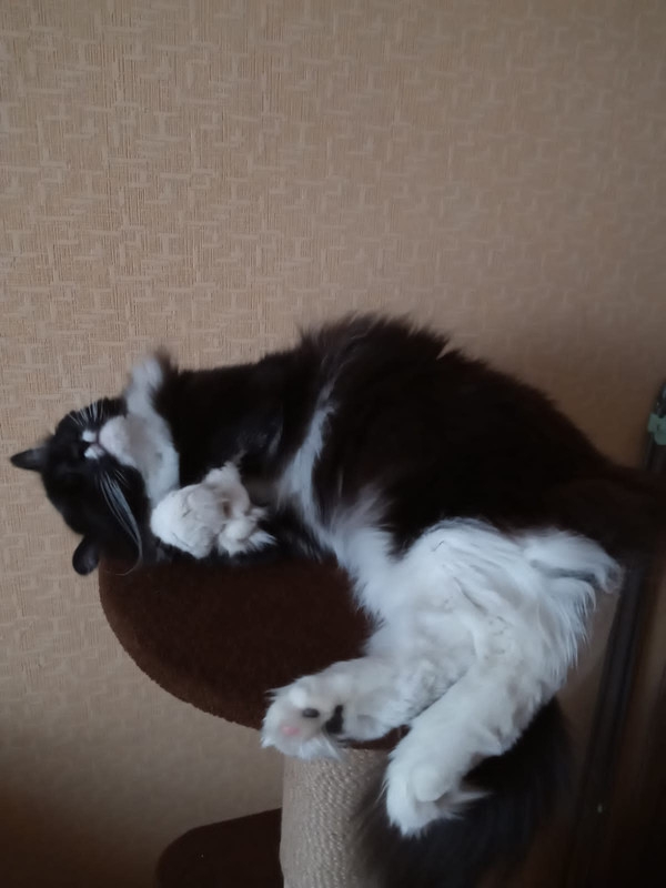 BFCC203F-1044-4DF0-BD52-1E76D7DFEB67