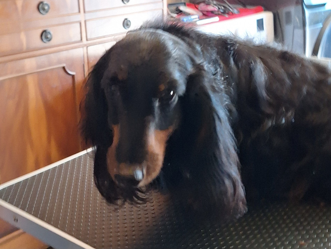 [Image: 20250516-100218.jpg]