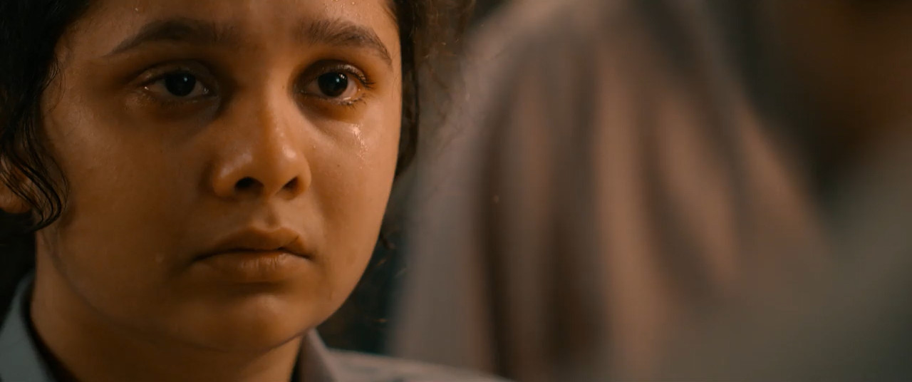 Vash Level 2 2025 WebRip [Hindi] 480p 720p ESub Screenshot