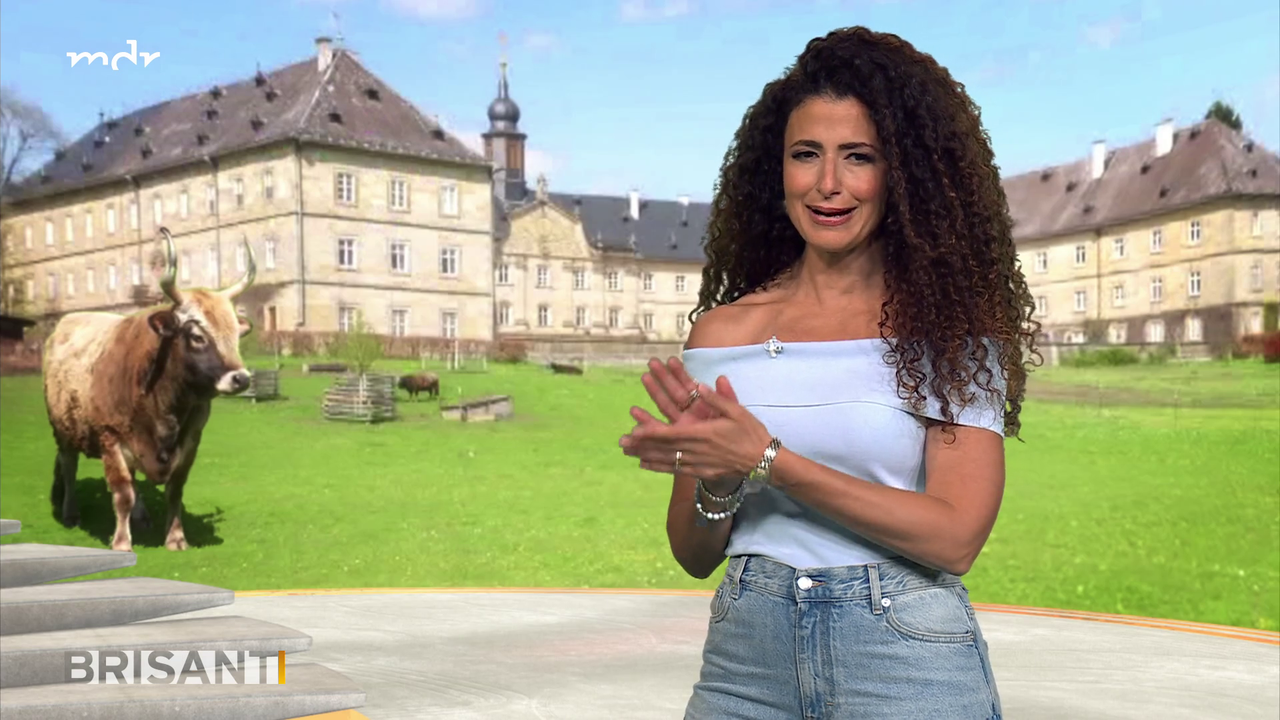 Marwa Eldessouky ARD BRISANT CLASSIX 24 07 2026 114X Caps 105