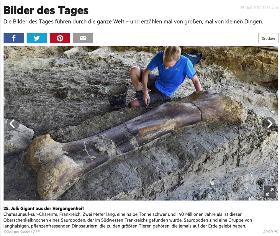 Ausgestorben oder ausgedacht? Tiere die es nicht (mehr) gibt! - Seite 2 Bildschirmfoto-2019-07-25-um-21-03-15