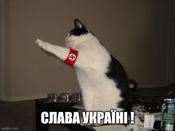 6cxte1.jpg