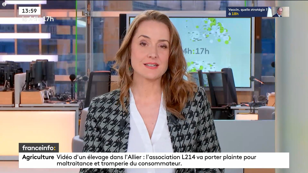 12.03 - 12.59.00 - Le 14h-17h. Au sommaire   Vrai ou fake. - francein....ts_snapshot_00.06.17.901