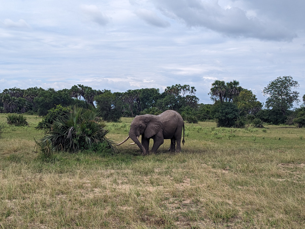 SGCAM_20250616_105318417