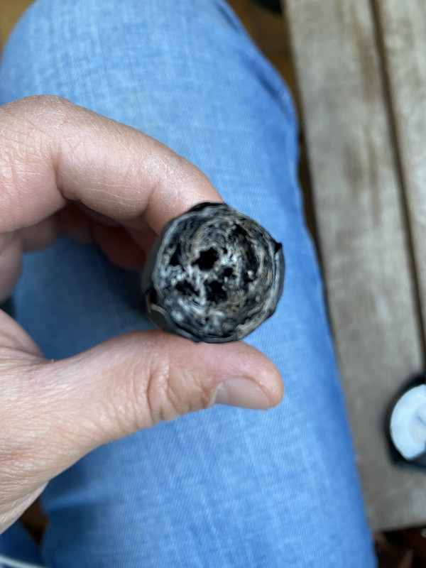 D37E593B-7296-4B1E-9E43-9B465181555A