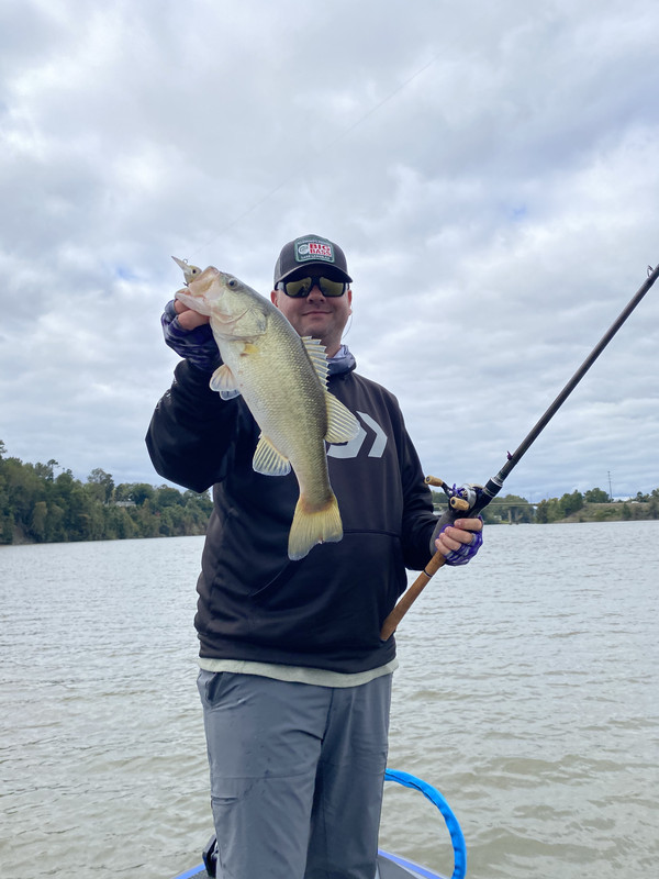 EB0FE4DC-E95A-4F3E-B0AA-CE16875DF86D