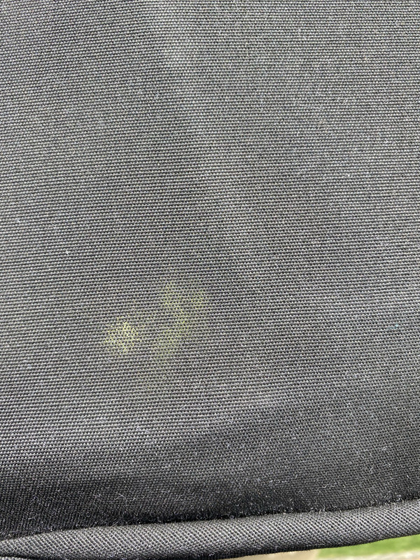 2021-07-29_13-55-04_IMG_0307