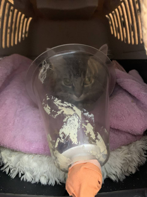 97C2120C-ECDC-45BB-9AA7-1B43070096D2