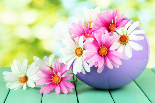[Image: depositphotos-25768713-stock-photo-pot-w...s-on-a.jpg]