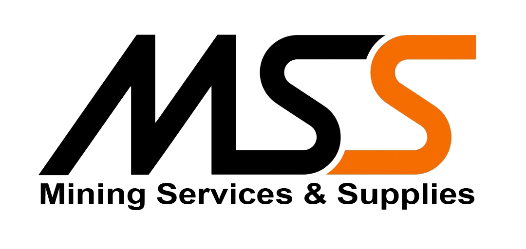 Logo MSS