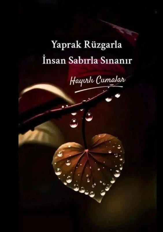 Whats App Image 2026 01 15 at 22 19 34