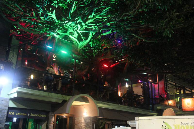 DE TORTUGAS Y PEREZOSOS. COSTA RICA 2019 - Blogs de Costa Rica - DIA 11: TIROLINAS EN MONTEVERDE Y TOUR NOCTURNO POR LA SELVA (64)