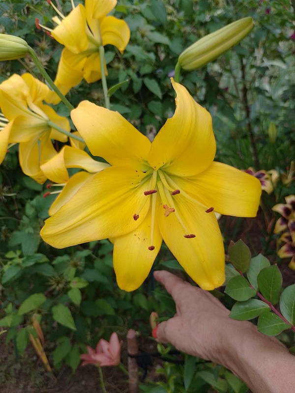 IMG_20230624_180254_HDR