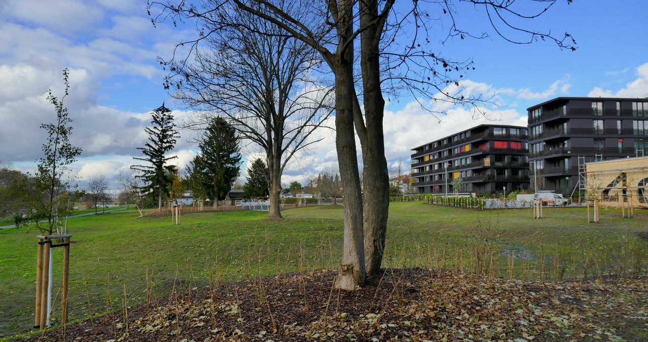 P1240747.jpg