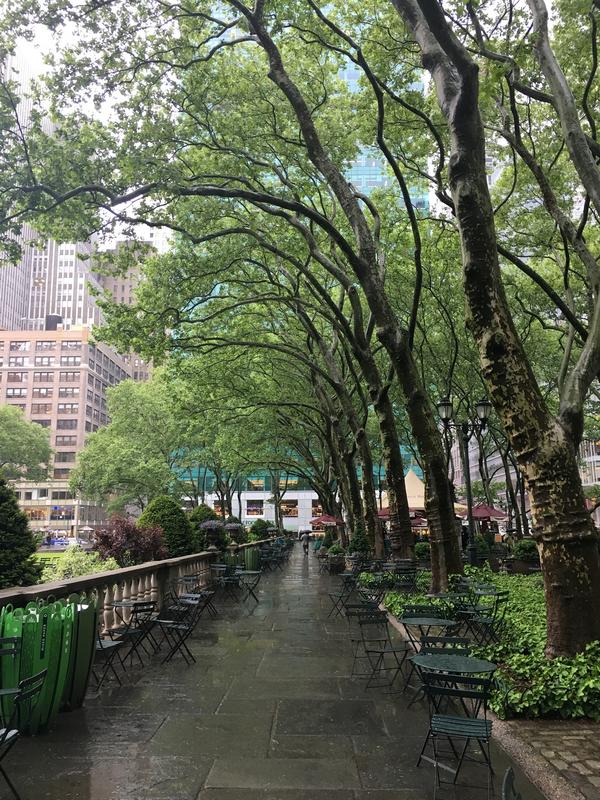 6A8CD5AC-95CC-4C28-8E5B-0105CE343A15