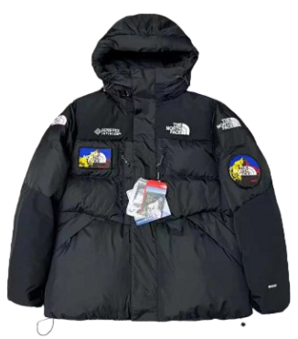The North Face Down Jacket