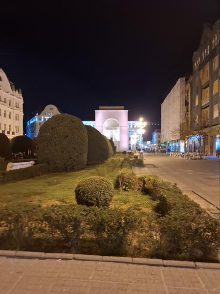 Slika