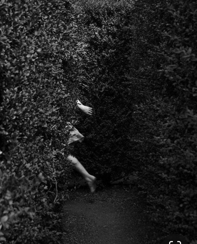 Screenshot_20240329_231852_Pinterest