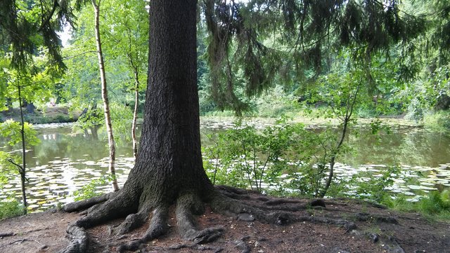 https://i.postimg.cc/ZnYNPbDB/20180715-134559.jpg
