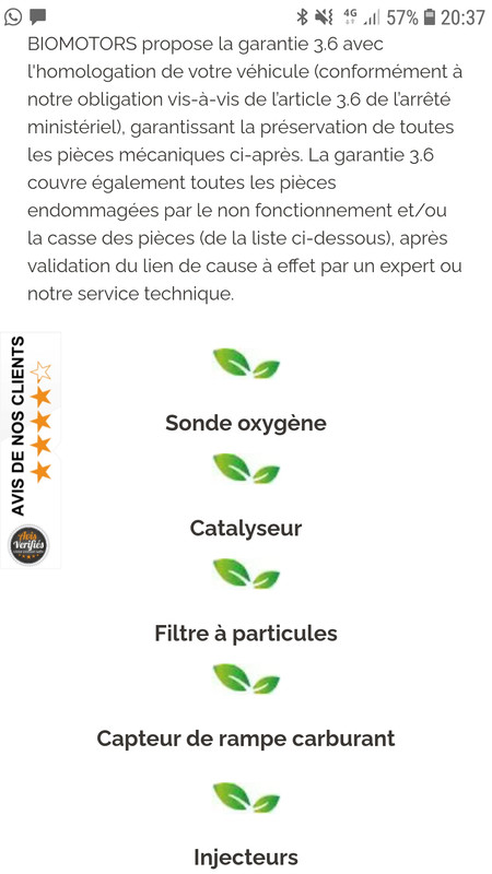 Screenshot_20210908-203725_Kiwi Browser