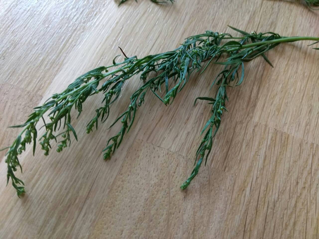 0-02-05-154b0690dc5c90f461291115782d9da356cdd64688d67e1f9c0fa5ae