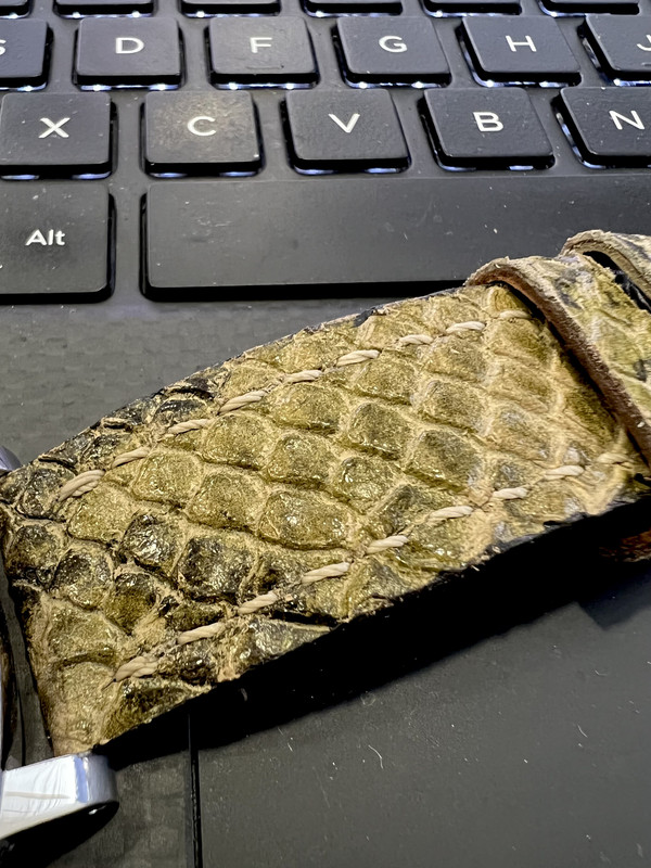 D0AA44BD-7109-48E0-8B83-58BF1C9BD447