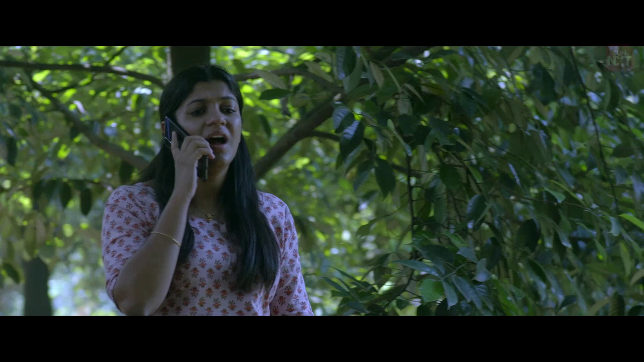 vlcsnap 2026 02 11 15h45m55s733