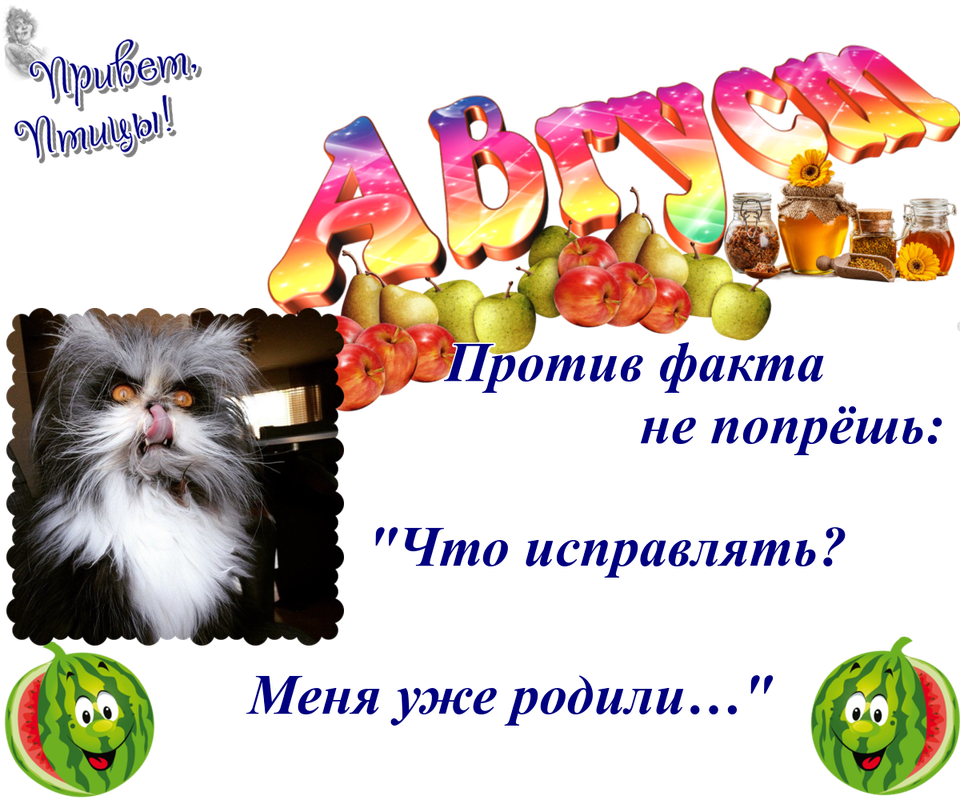 https://i.postimg.cc/ZnZVCyrH/05-08.png