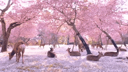 Wow-GIFs-13