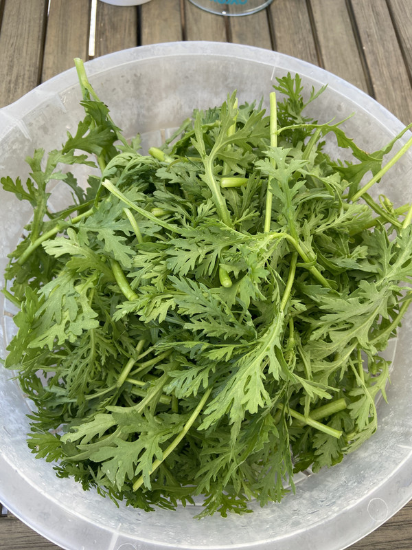 36BF1996-06E6-46E9-8634-D587F1A31FBE