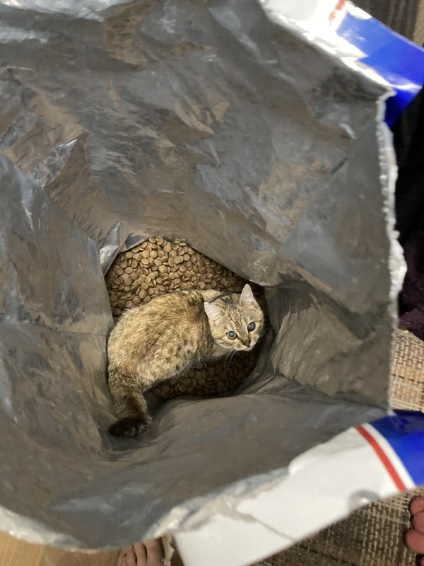 FC030615-6B62-4E0A-A975-DBBA8169180D