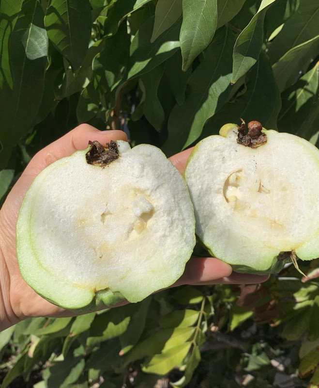 0A7CAC59-CF4F-4F05-837D-C78F5BE8E9F9