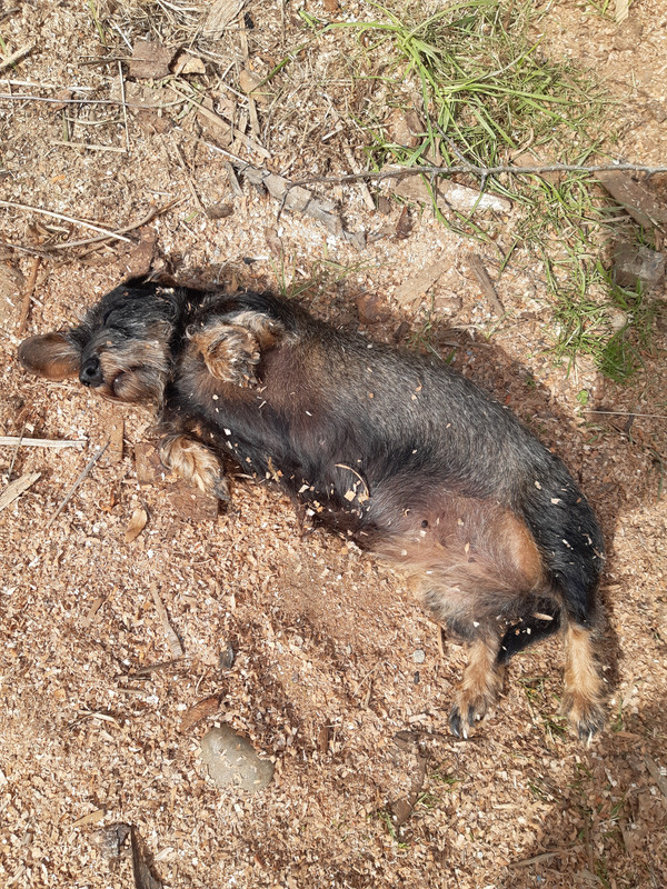 [Image: 20240918-123841.jpg]