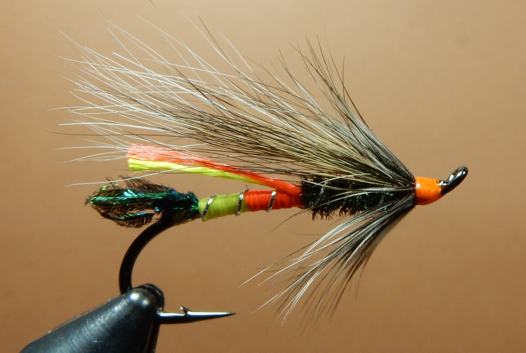 Malinda-Rat-1080.jpg Malinda-Rat-1080.jpg