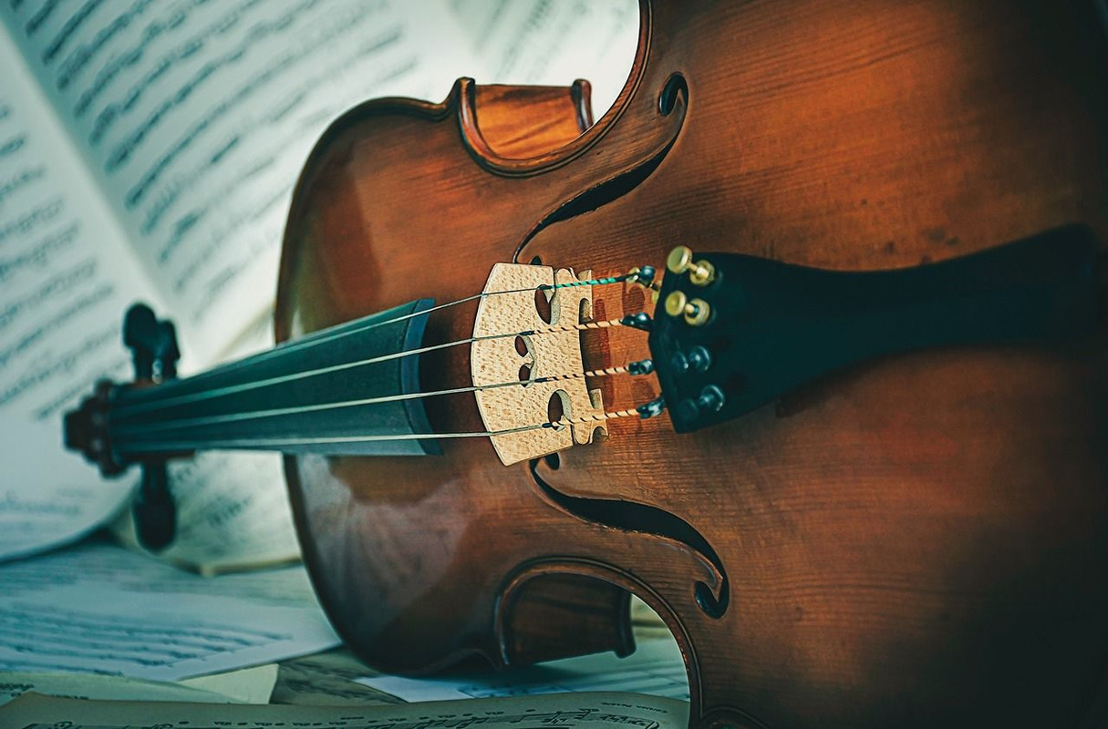 Donna smarrisce violino da 80 mila euro su treno a Vienna