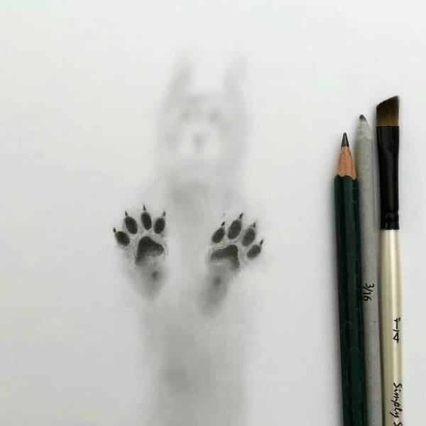 Amazing-6