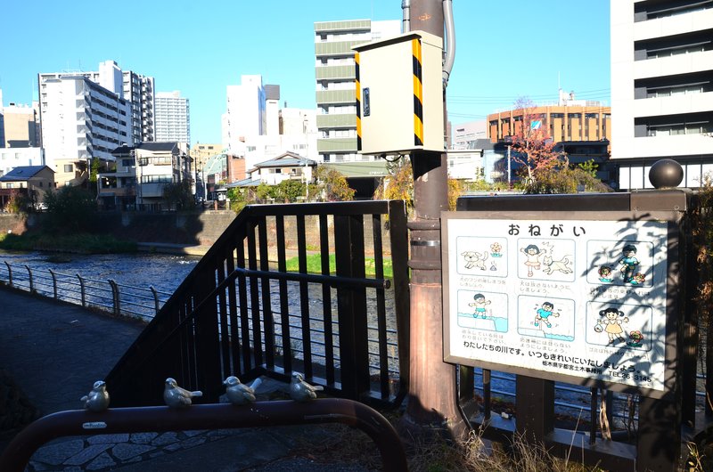 Utsunomiya-13-11-2024 - Japón y sus Pueblos-2024 (39)