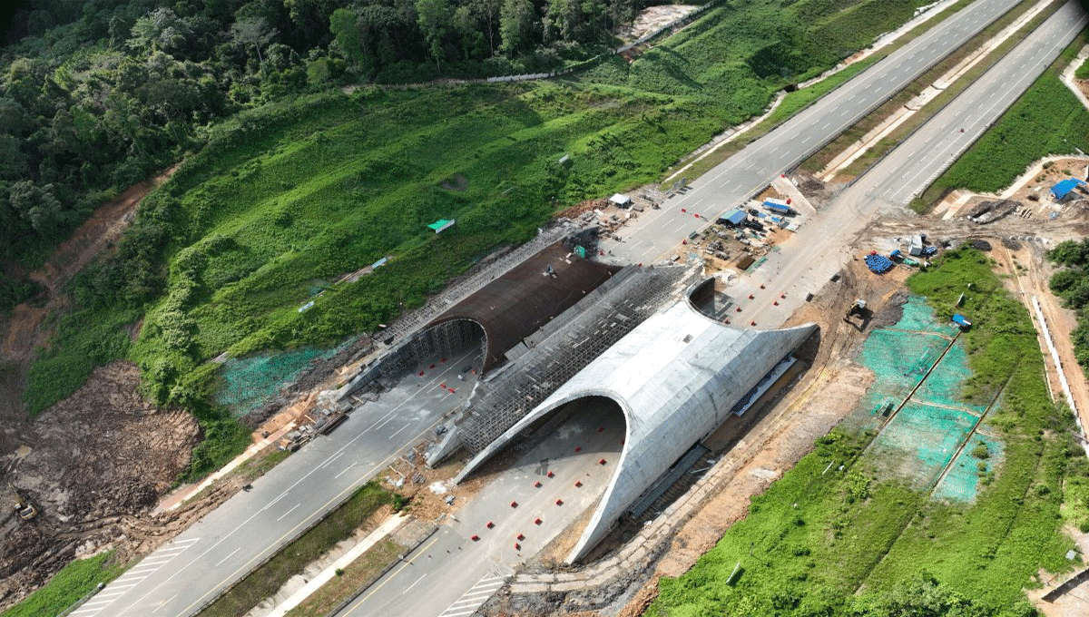 Pembangunan Jembatan Satwa Tol IKN: Progres Signifikan Komitmen Lingkungan
