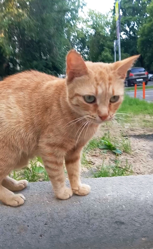 Screenshot_20250925_145132_Video Player