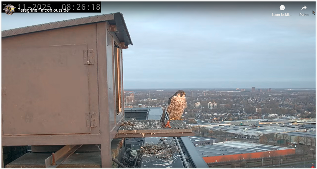 Screen Shot 11 29 25 at 08 26 AM