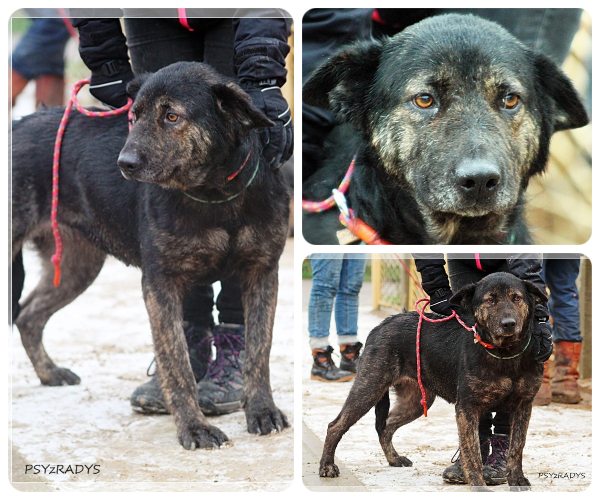 BeFunky-collage (16)