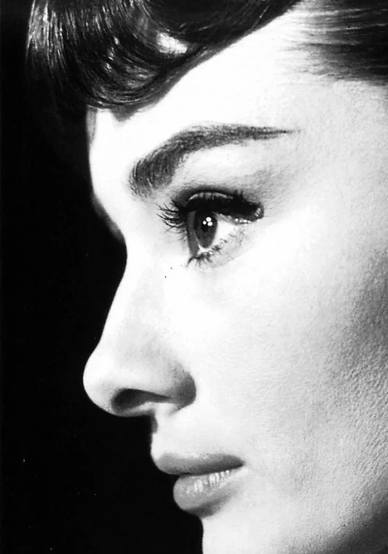 is audrey hepburns nose alone inherently beautiful or would v0 ug3lqmsbo52e1