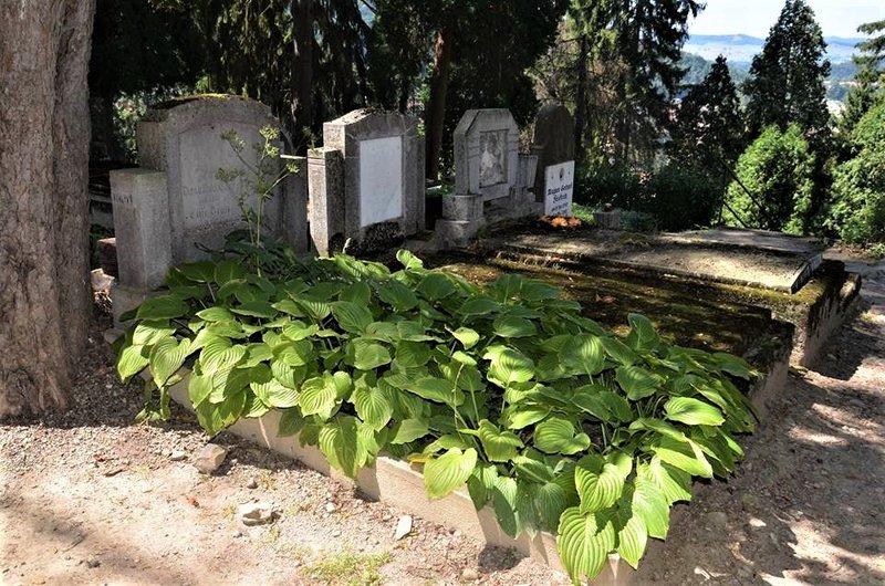 Rumanía y sus pueblos-2015 - Blogs de Rumania - Sighișoara-8-8-2015 (33)