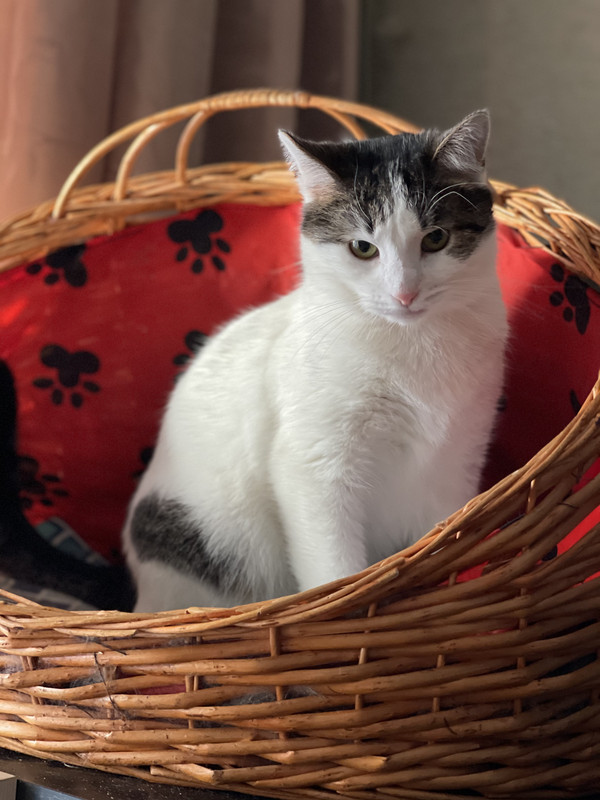 C409114D-F647-40A2-ACF6-B357C37A1C30