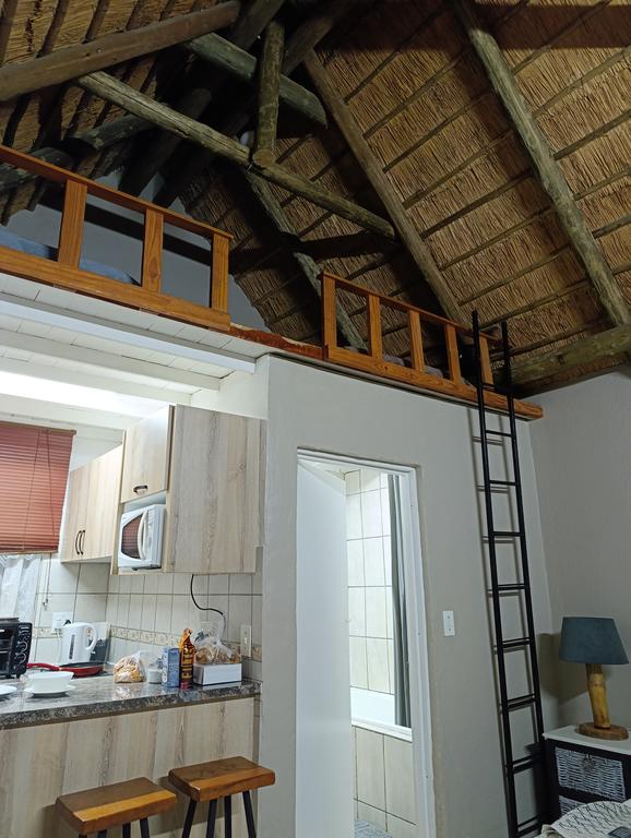 Такая близкая Африка. (ЮАР. 22 дня и 4200 км. Ноябрь-Декабрь) Такая близкая Африка. (ЮАР. 22 дня и 4200 км. Ноябрь-Декабрь)