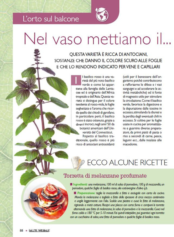 Sal Nat  Mag 2024 (7)