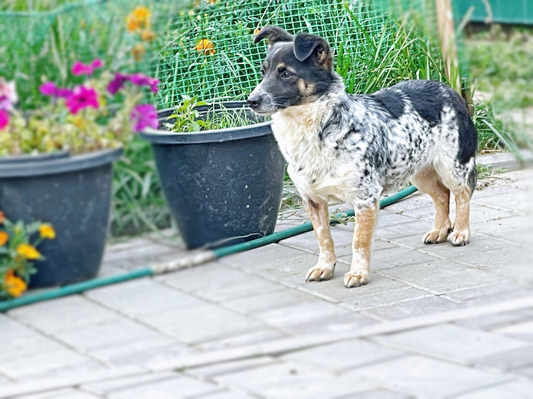 431EFF6D-25D3-4653-8AE8-D45ED871FA33