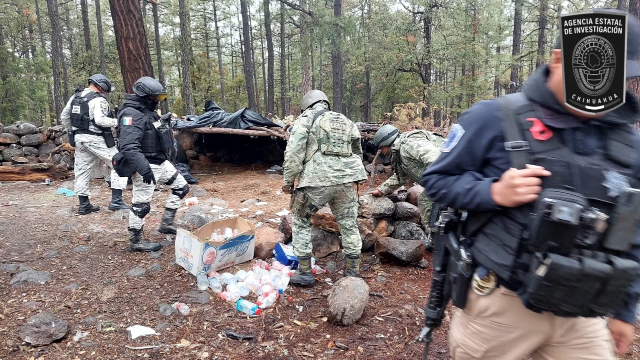 Localizan y destruyen narcocampamento en Chihuahua